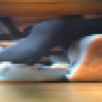 2BkeTqf5plrytQsF