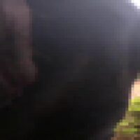 437Hyi7pWsRlk5yR