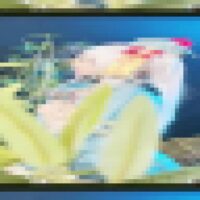 EtPLxNwgltVGwnuR