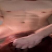 J0daH_39XVXulWv1