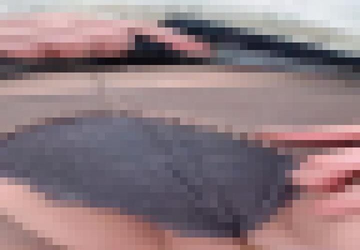 0tB1DhrLE8UBDIvP