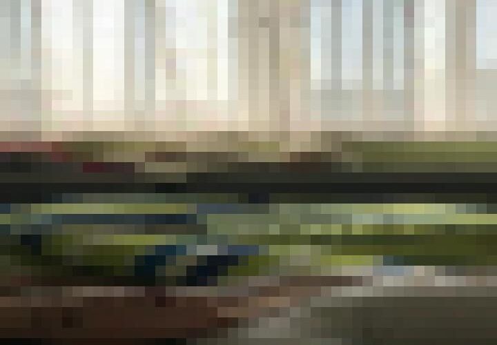 4Tlkx78knR6WDayj
