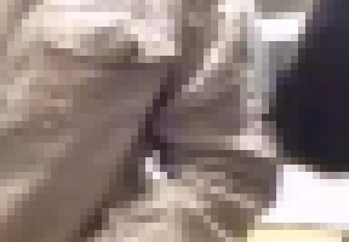 8Pg3VHt7lo8wSvp0