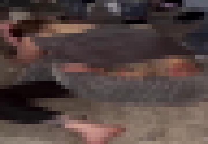 8mbtC75fOlg8mczJ