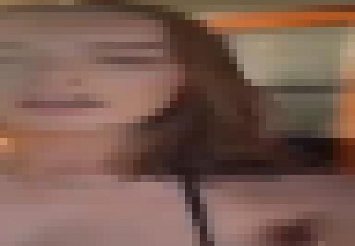 9XZ05rRdcUgjI0ty
