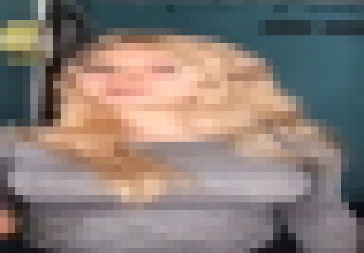 BVBpQ9JnGT6L_zdz