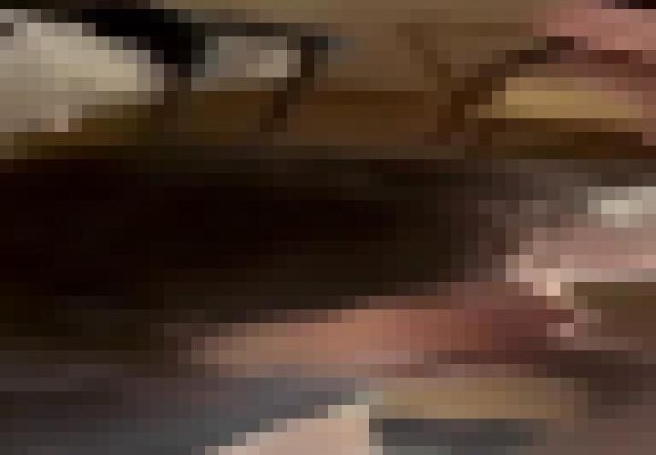 DZ5Qa2euY7dKp6TT
