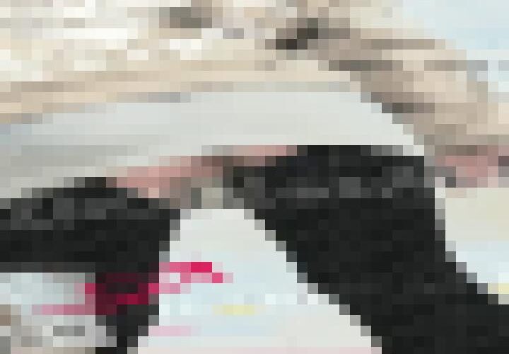 GGElEgHasAATBv0