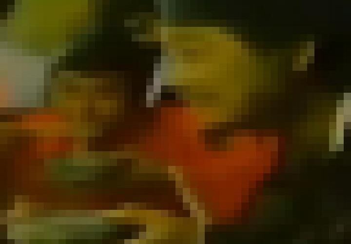 _HrarWgd78bu2lKx