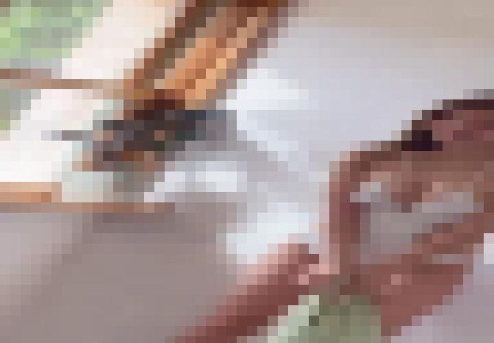 XETNepsFdgbMH5y5