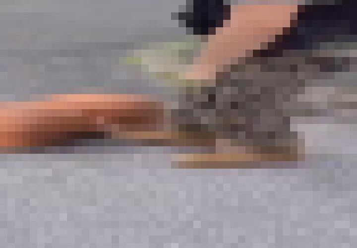 aSiJe8YvDMEcDkI3