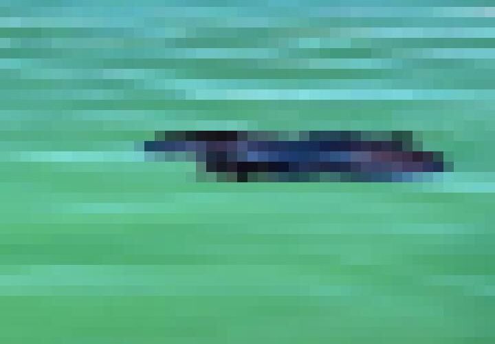 fBGbx8KCfAoz8QJ-