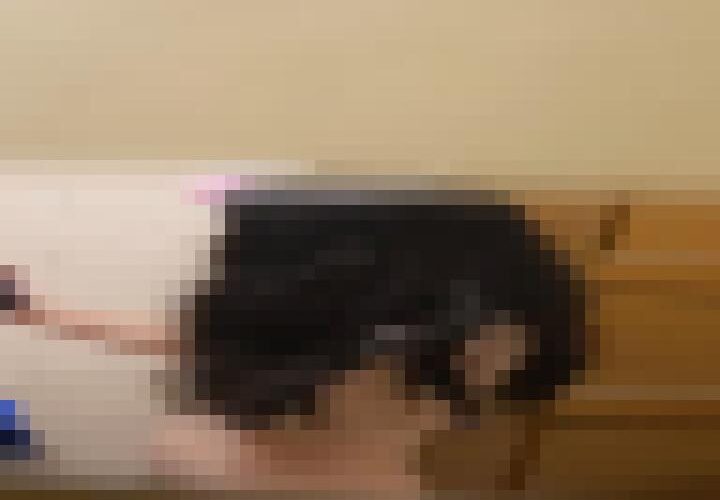 hgvQVIBh5C_BtCZc
