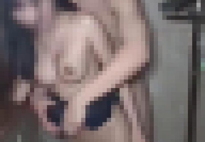 ll05SZlKcuOagPle