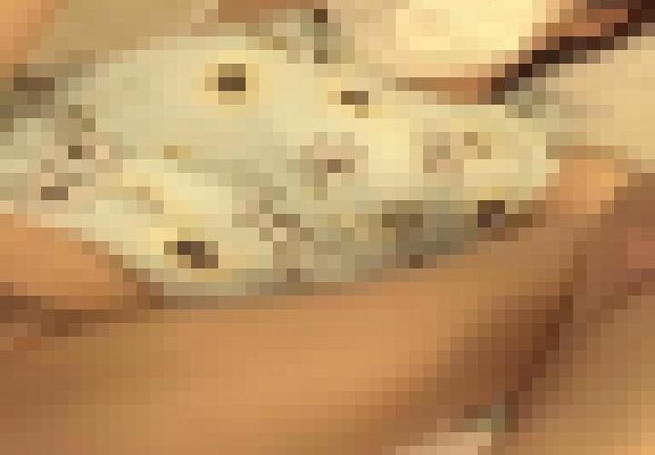 lsCP5Guo0qFnMt9y