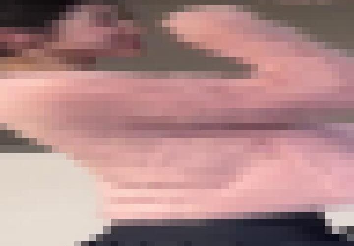 pWiecgbbqT69pT0V