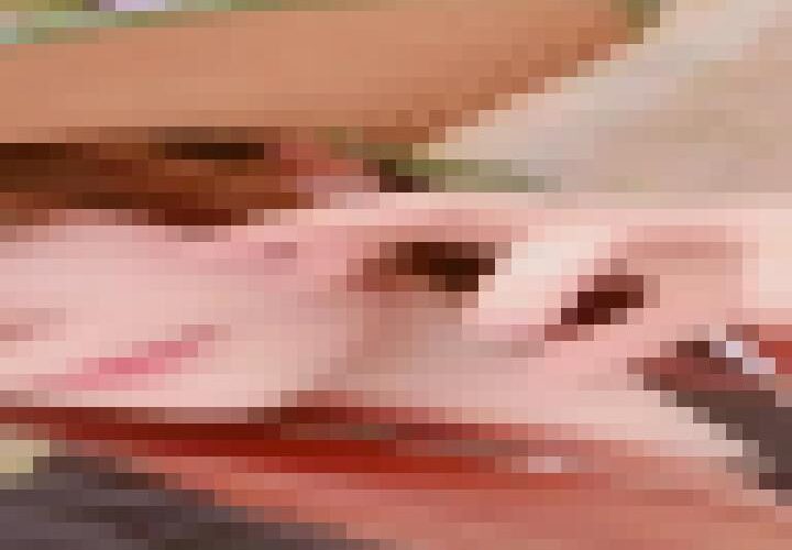 qbJPHnDntJEPRKdC