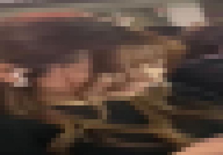 v5D8zSTnB9GWdnOp