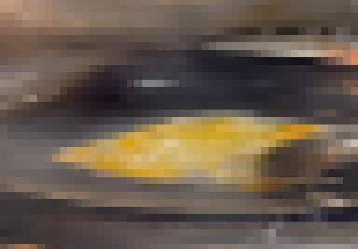 vBMeldPSBMOLpvl3