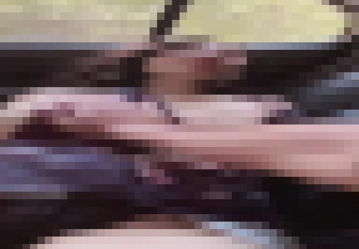 wDlCgkPd7r01UG6S