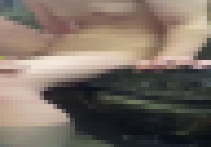 xjFdbx1l5nwJSSvY