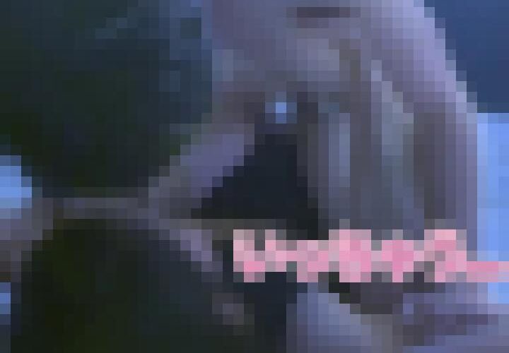 yPD3xxZkCuJ65kYl