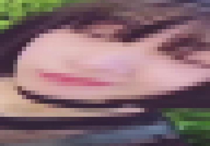 yqF0TcEqFaZgztf0